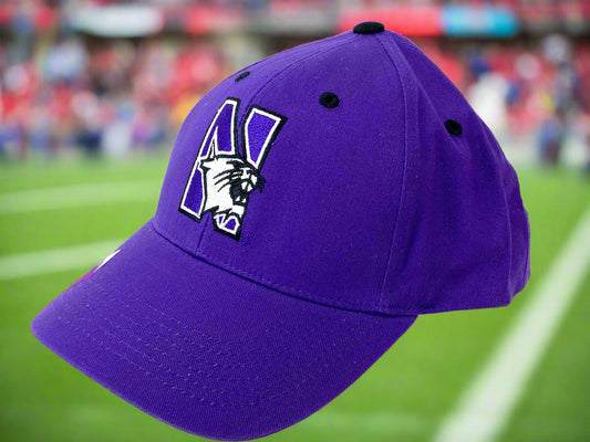 Northwestern Wildcats NCAA 2018 NOS Embroidered Logo Cap