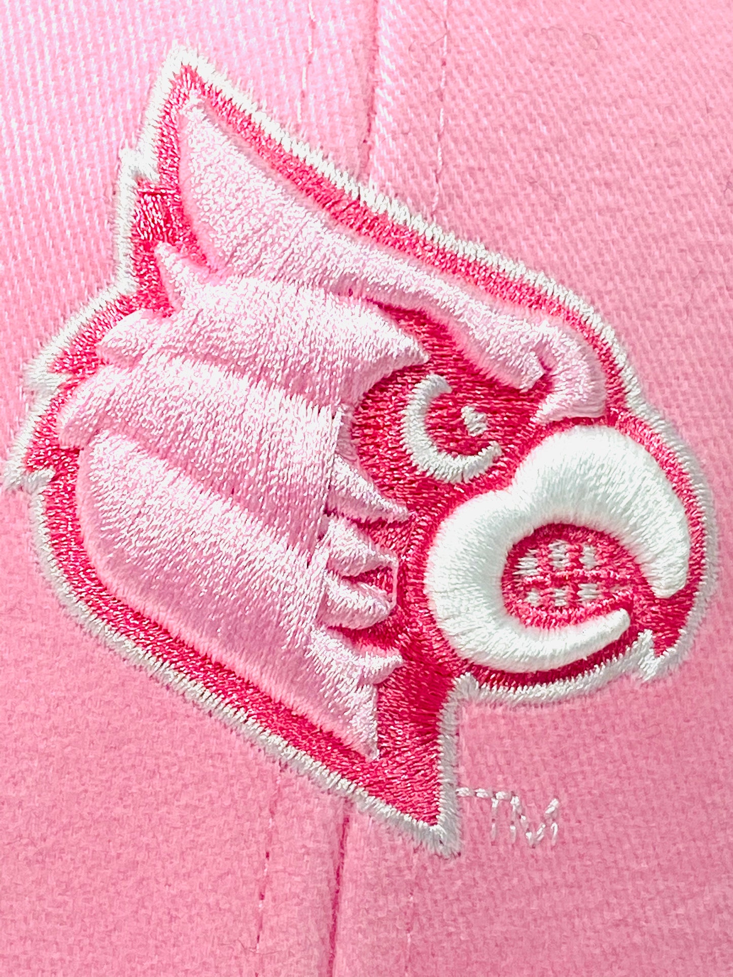 Louisville Cardinals 2017 NCAA Women's Pink NOS Embroidered Hat.