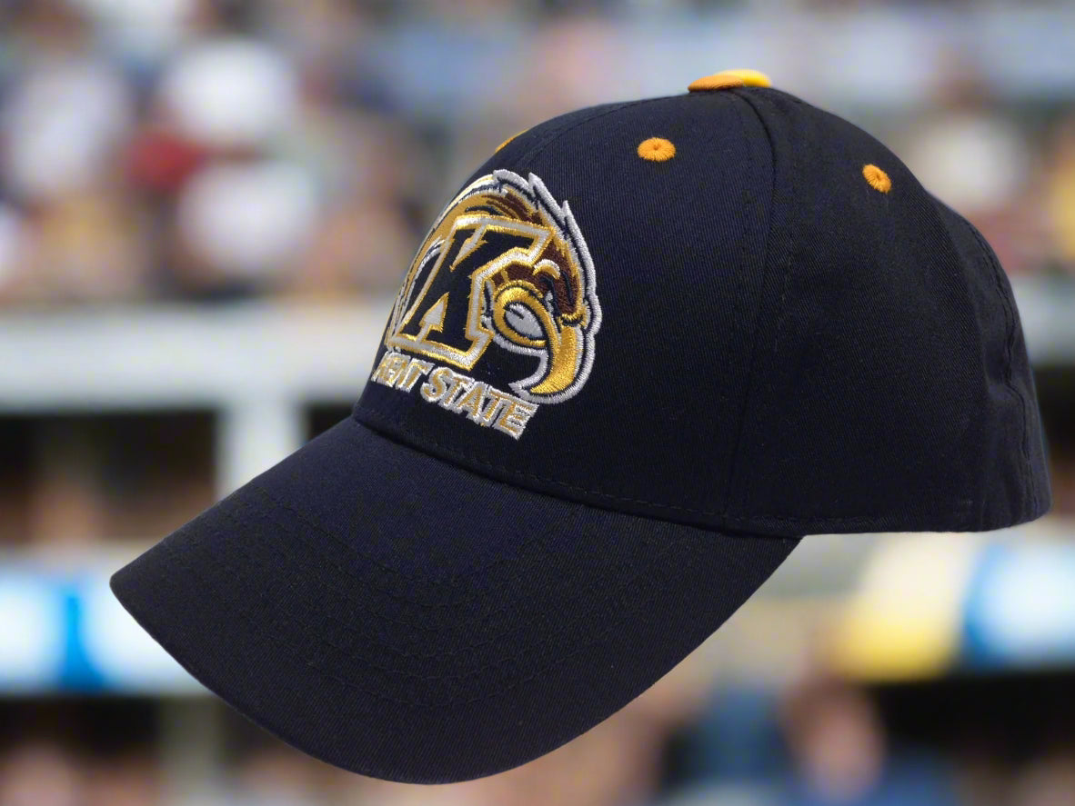 Kent State Golden Flashes NCAA 2018 Embroidered NOS Logo Cap